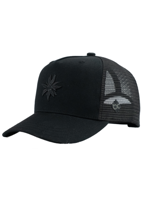 Curved Cap Edwelwei Black Edition schwarz